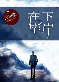 在下毕岸